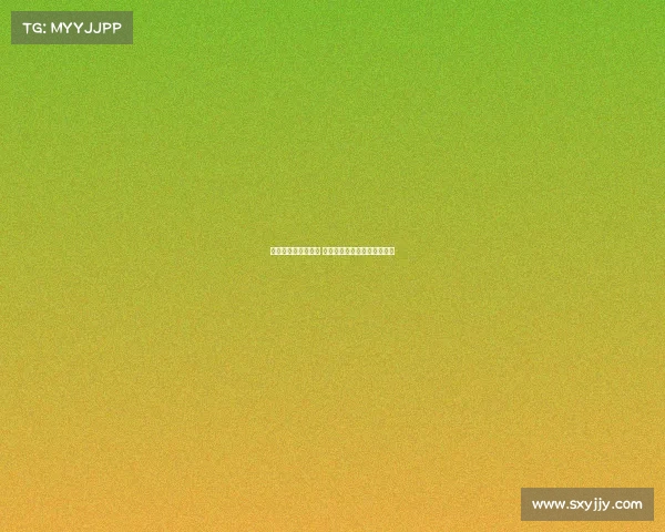 海港训练蒋光太缺席 古斯塔沃徐新成为新战术核心