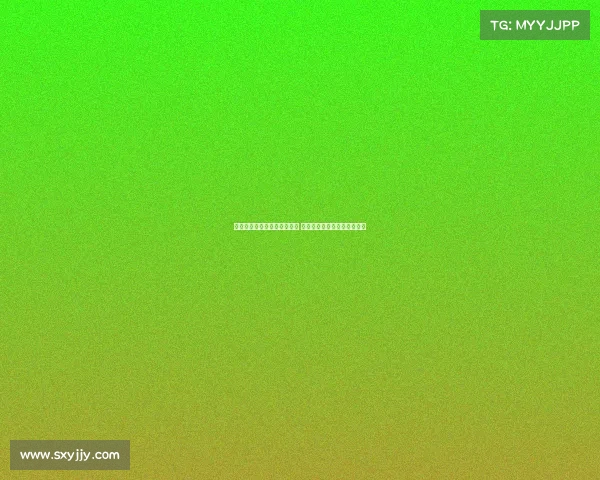 米内罗与戴伟浚即将回归申花 谢鹏飞康复进展良好状态回升