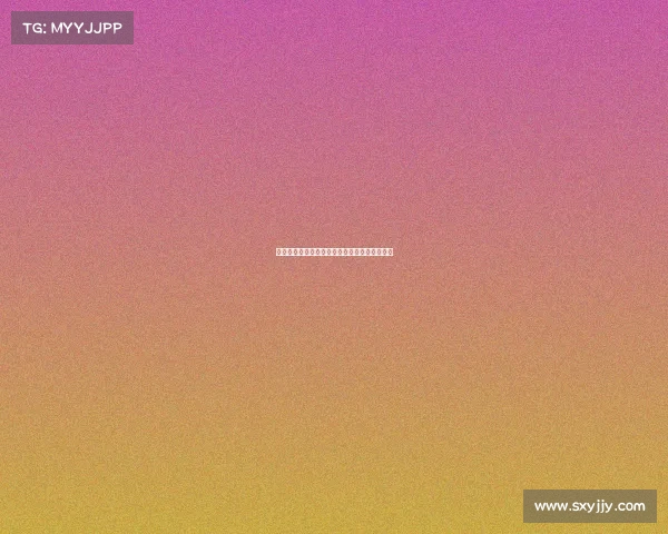 勒阿弗尔城市风貌探索与文化遗产保护现状分析