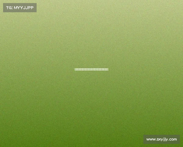 德甲联赛精彩赛事回顾与球员表现分析全方位解读